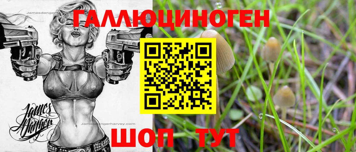 Псилоцибиновые грибы Cubensis Топки
